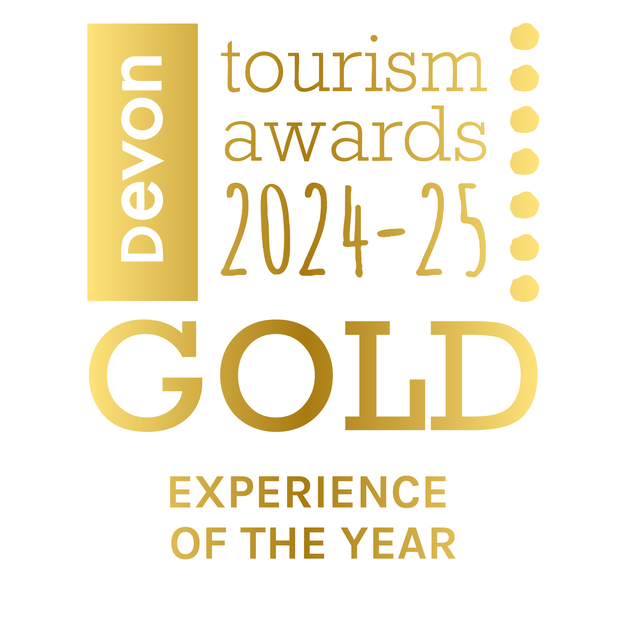 Experience of the Year Gold 2025